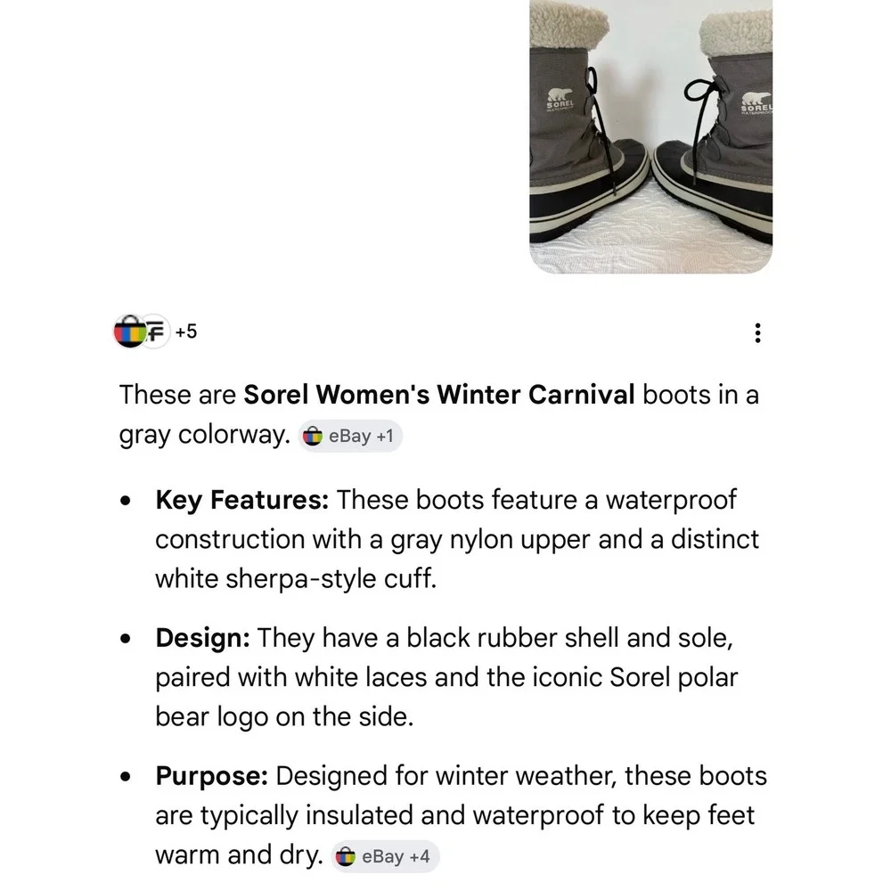 Sorel winter carnival